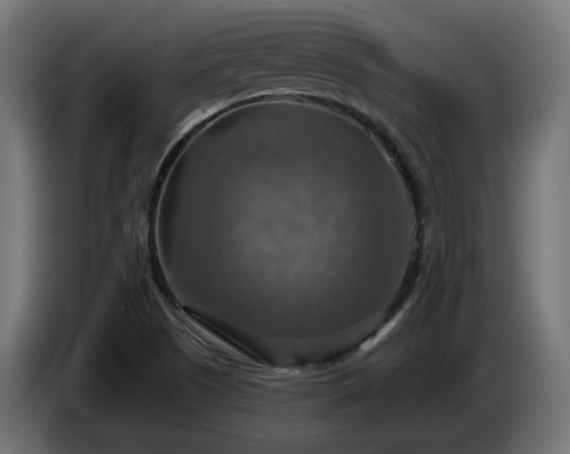 X0000084541505200703021432