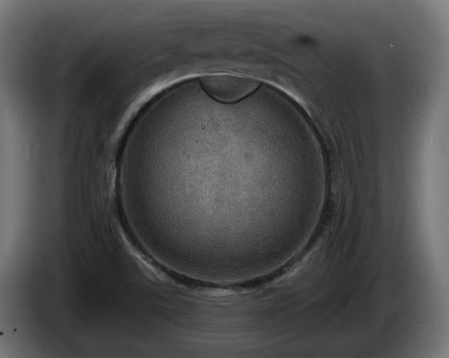 X0000084541507200703021432