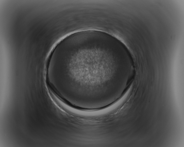 X0000084541508200703021432
