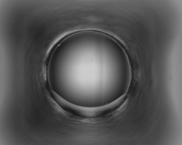 X0000084541510200703021432