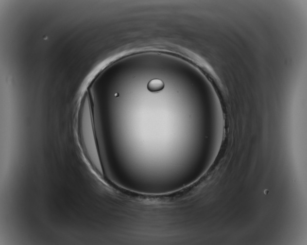 X0000084541512200703021432