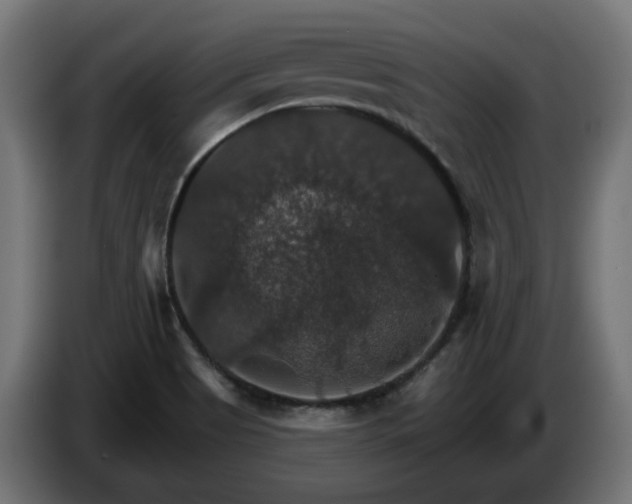 X0000084541513200703021432