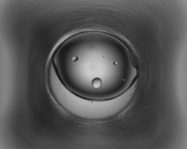 X0000084541514200703021432