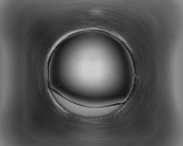 X0000084541516200703021432