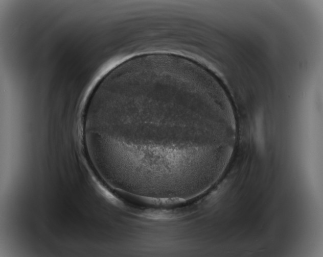 X0000084541517200703021432