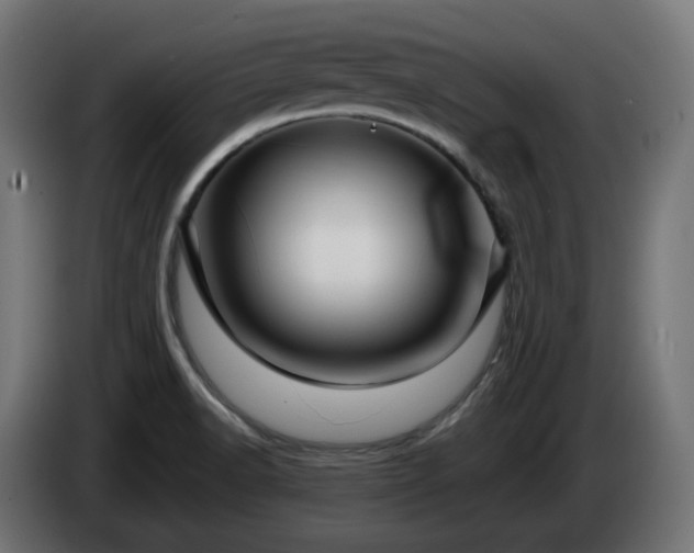 X0000084541518200703021432