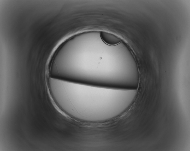X0000084541519200703021432