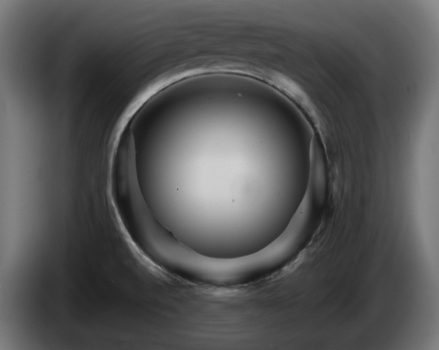 X0000084541520200703021432