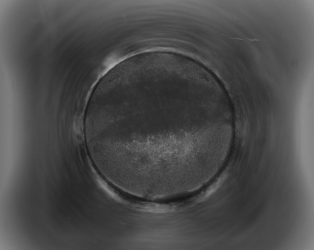 X0000084541521200703021432