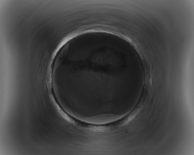 X0000084541522200703021432