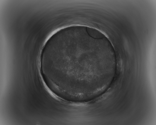 X0000084541523200703021432