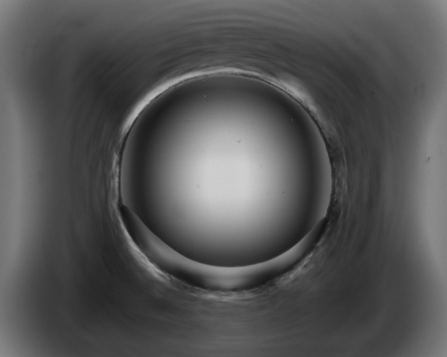 X0000084541524200703021432