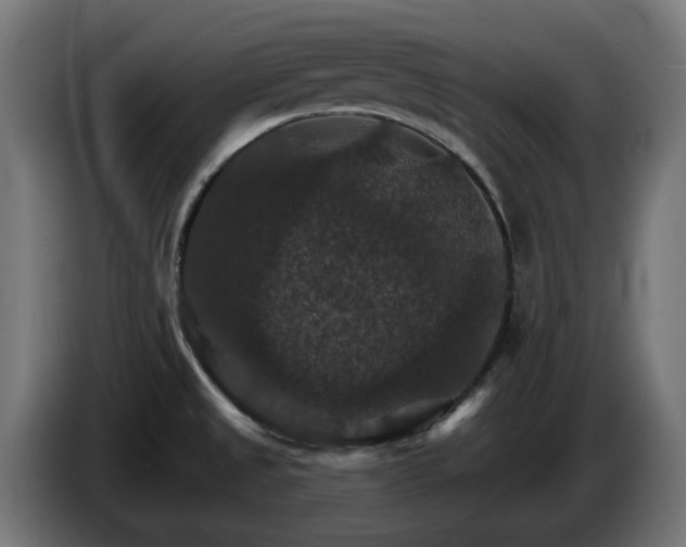 X0000084541525200703021432
