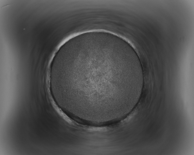 X0000084541526200703021432