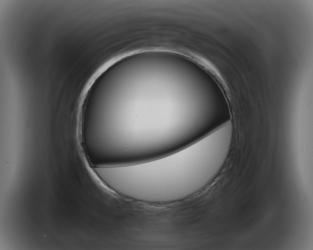 X0000084541528200703021432