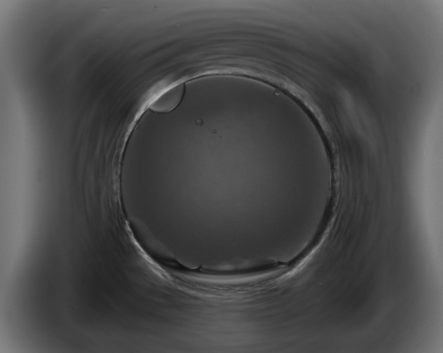 X0000084541529200703021432