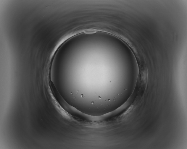 X0000084541530200703021432