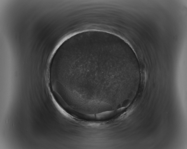 X0000084541531200703021432