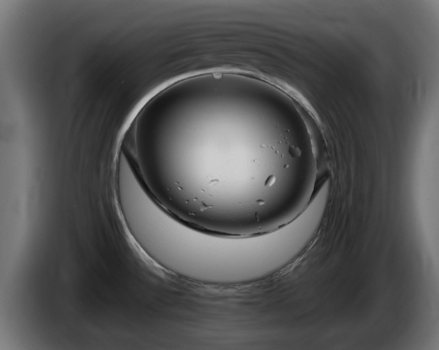 X0000084541532200703021432
