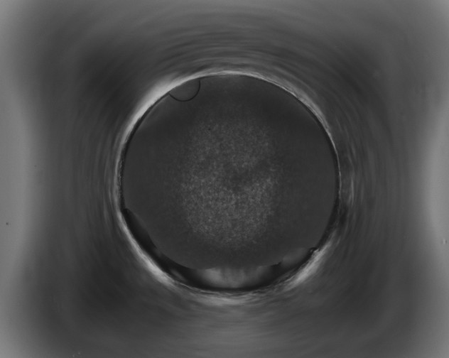X0000084541533200703021432