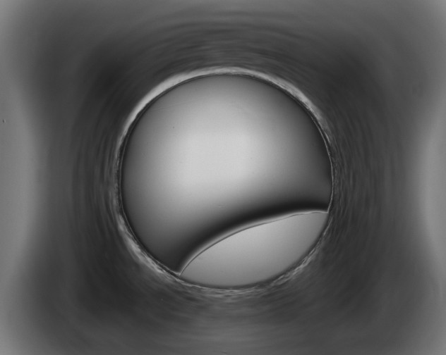 X0000084541534200703021432