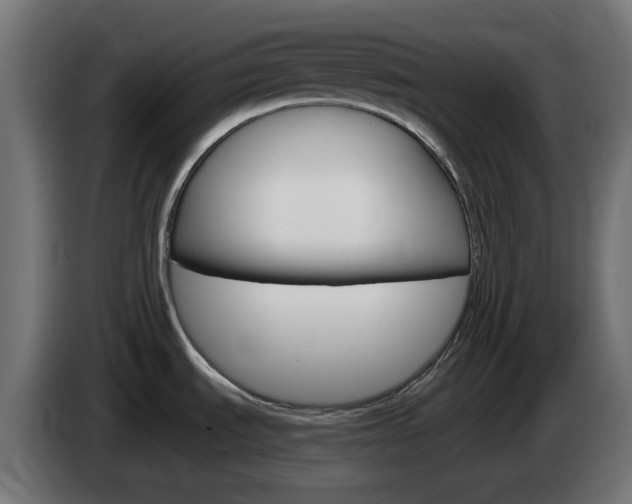 X0000084541535200703021432