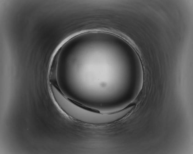 X0000084541536200703021432