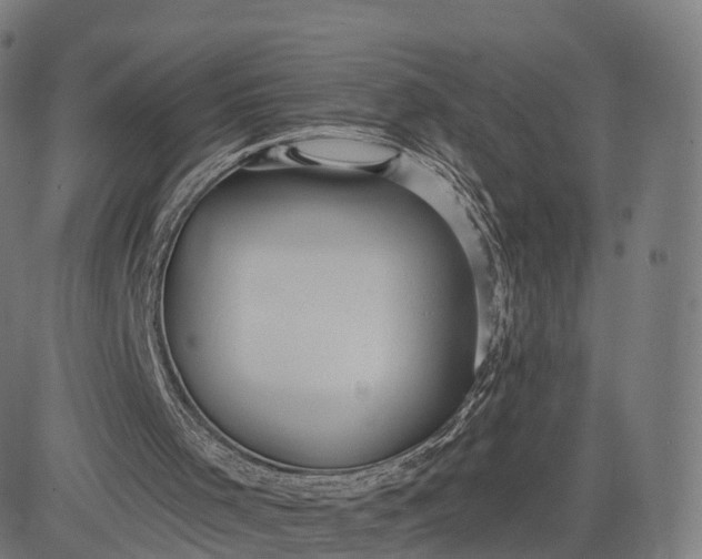 X0000084540001200703091706