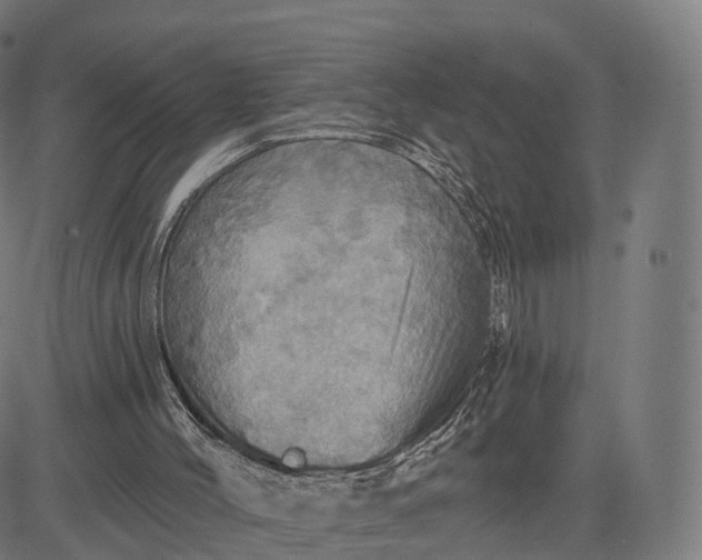 X0000084540004200703091705