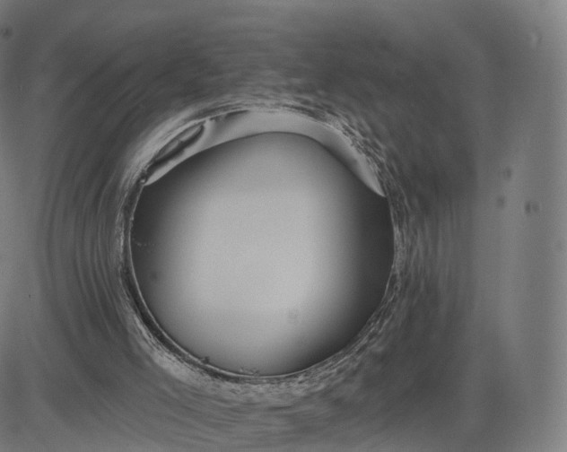 X0000084540005200703091705