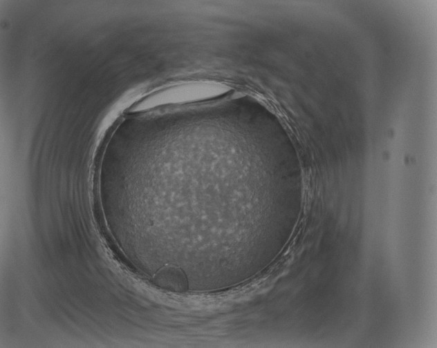 X0000084540006200703091705