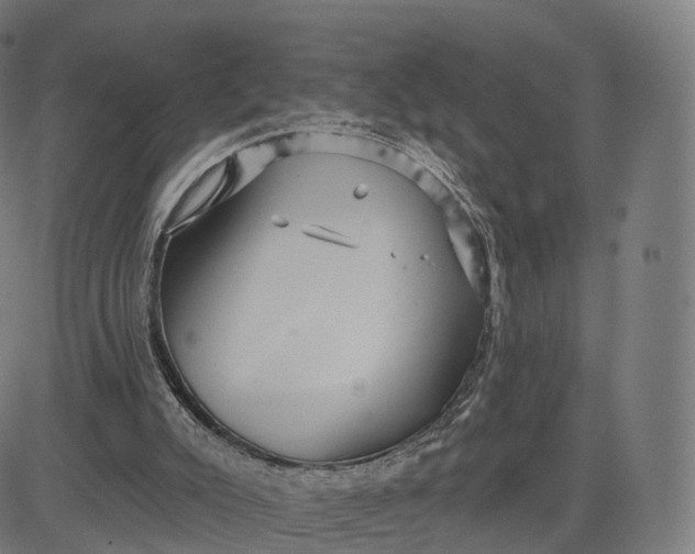 X0000084540007200703091705