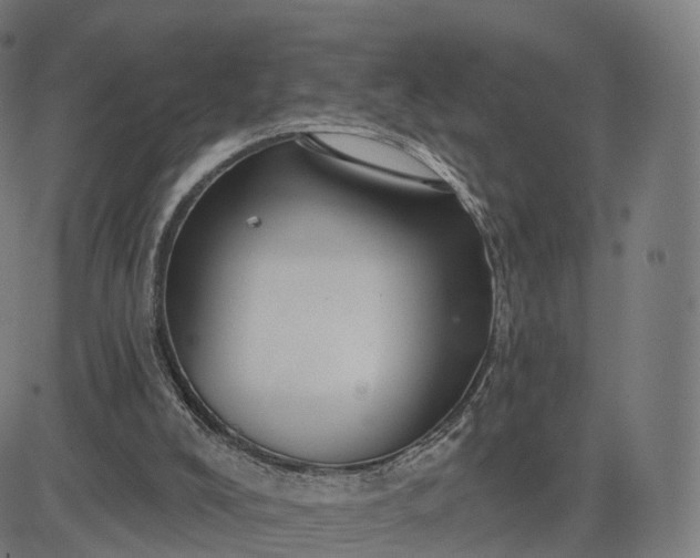 X0000084540008200703091705