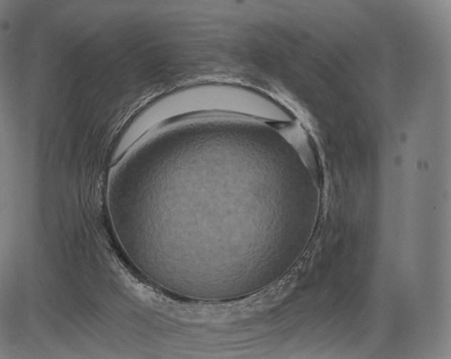 X0000084540009200703091705