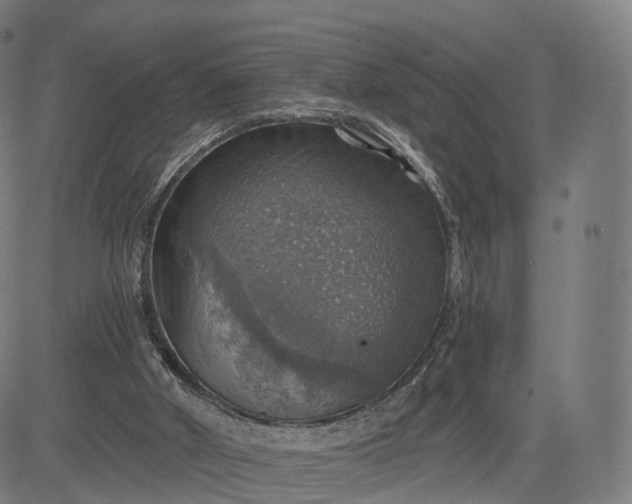 X0000084540010200703091705