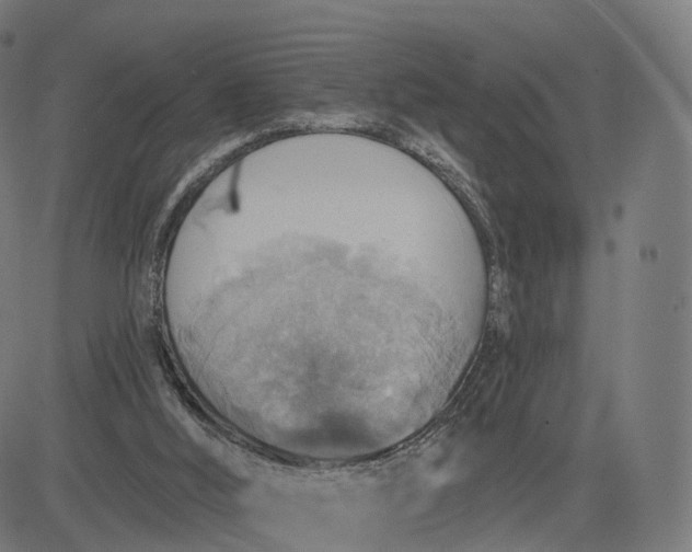 X0000084540012200703091705