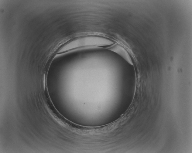 X0000084540013200703091705