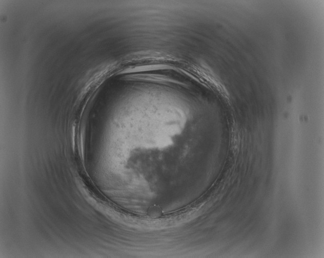 X0000084540014200703091705