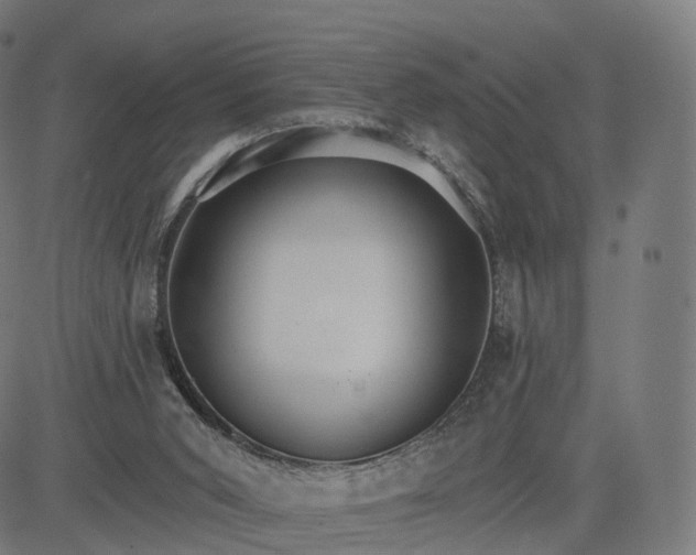 X0000084540015200703091705