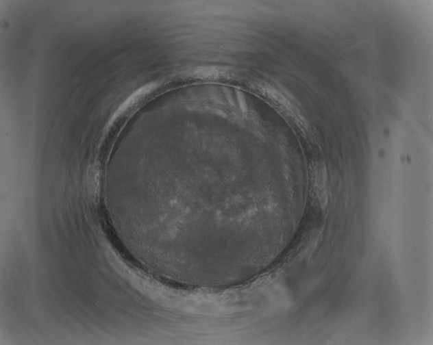 X0000084540016200703091705