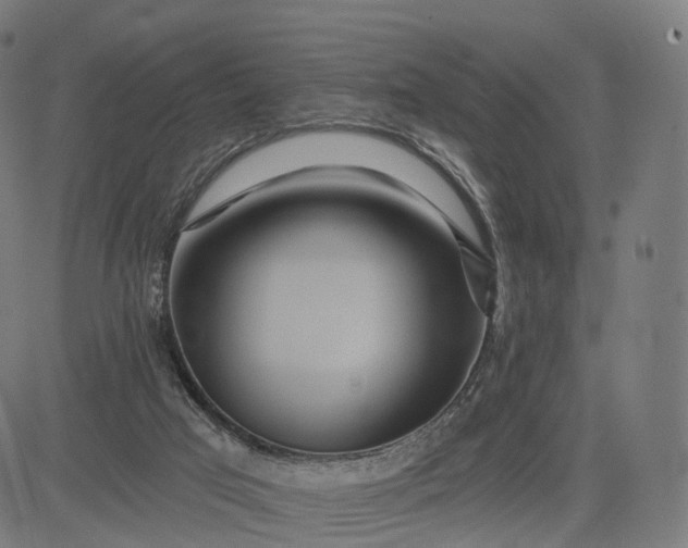 X0000084540017200703091705