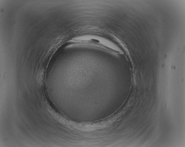 X0000084540018200703091705