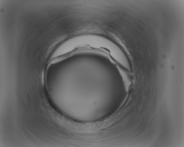 X0000084540019200703091705