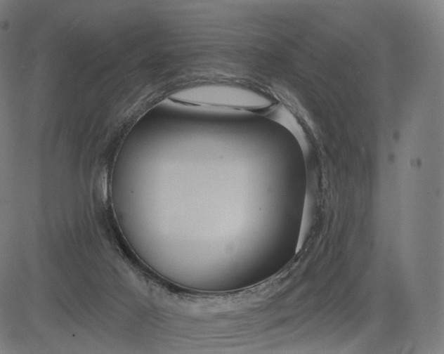 X0000084540021200703091705