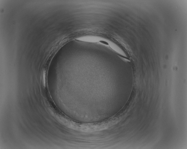 X0000084540022200703091705