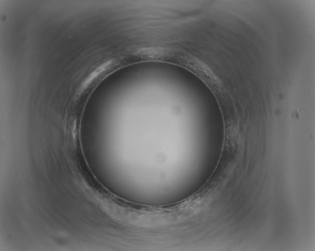 X0000084540024200703091705