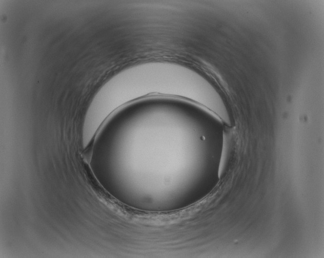 X0000084540025200703091705