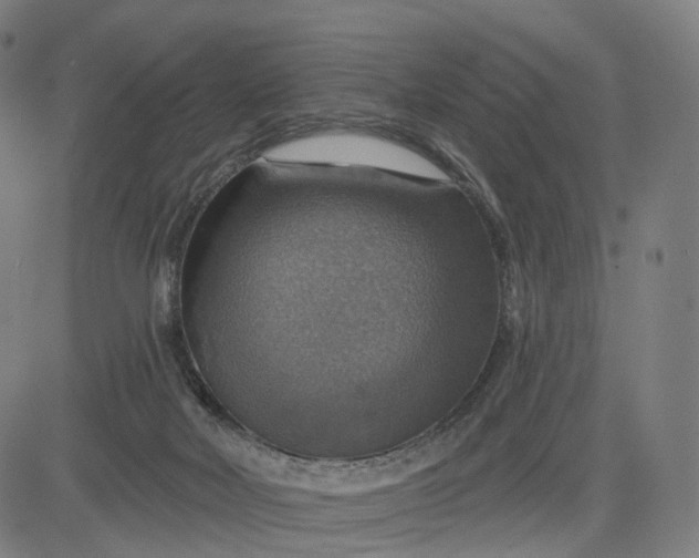 X0000084540026200703091705