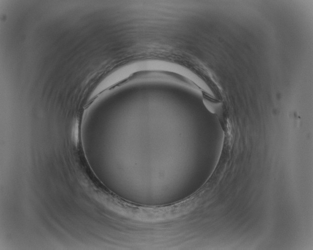 X0000084540027200703091705