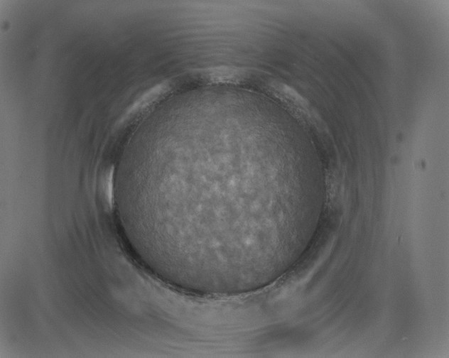 X0000084540028200703091705